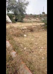 Image of 1620 Sq.ft Residential Plot / Land for sale in Prop Zone IMT Delight Homes, Sector 71, Faridabad for Rs. 13770000