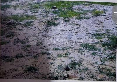 Image of 891 Sq.ft Residential Plot / Land for sale in Sirodi, Jodhpur for Rs. 2200000