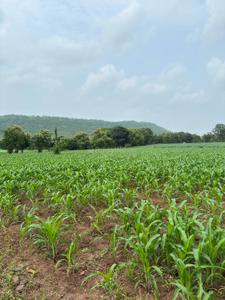 Image of 4000 Sq.ft Residential Plot / Land for sale in Simrol, Indore for Rs. 1200000