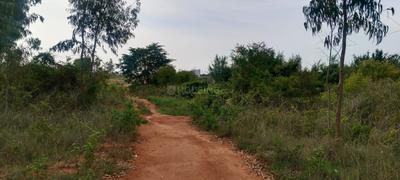 Image of 35000 Sq.ft Residential Plot / Land for sale in Chikkanahalli Village, Bengaluru for Rs. 52000000