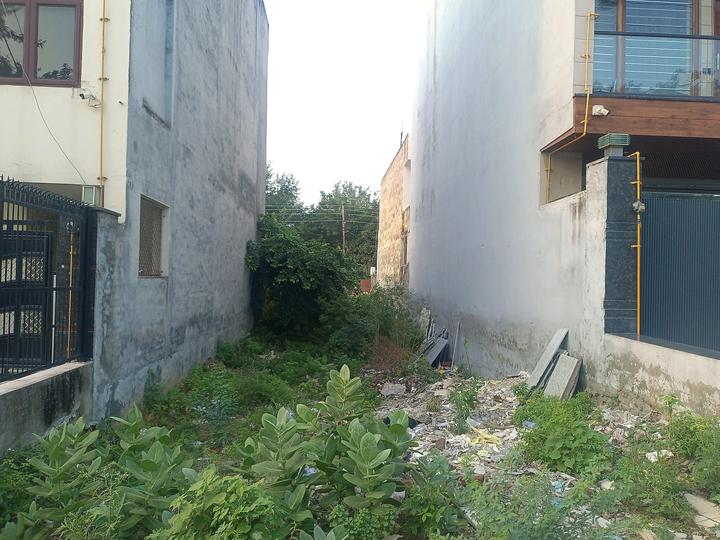 Sector 45 Main Image 1