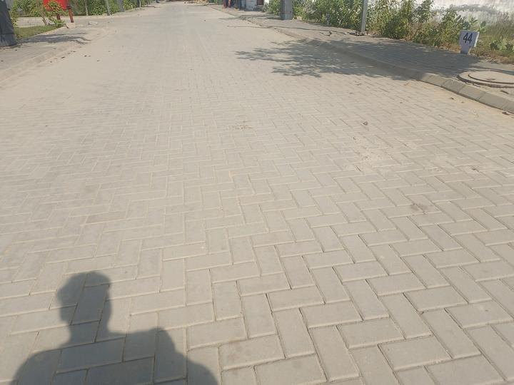 M2K Olive Greens Main Image 1