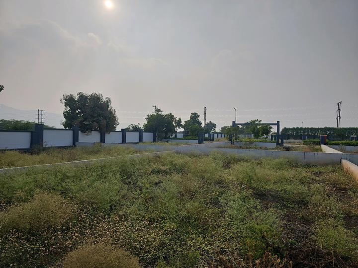 Uruli Kanchan Main Image 1