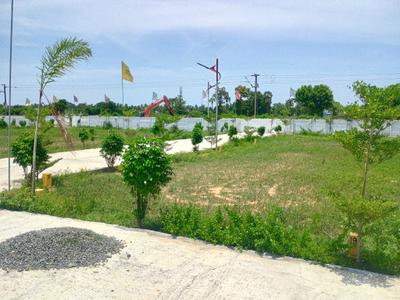 Residential Plot