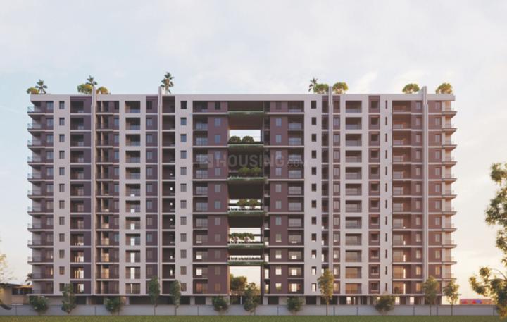 Royal Gravitaz Main Image 1