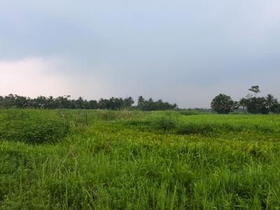 Image of 720 Sq.ft Residential Plot / Land for sale in Nest Valley, Joka, Kolkata for Rs. 240000