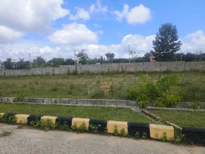 Residential Plot