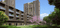 Birla OJASVI Main Image 1