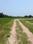 Natures Paradise Internal Roads 1