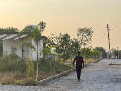 Image of 800 Sq.ft Residential Plot / Land for sale in Naya Raipur, Raipur for Rs. 399000