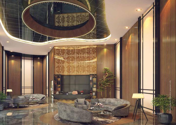 IVY County Main Image 1