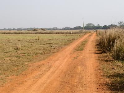 Image of 1800 Sq.ft Residential Plot / Land for sale in Sundarpada, Bhubaneswar for Rs. 1618200
