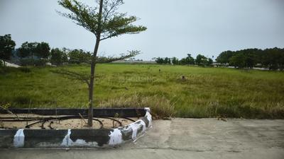 Image of 208 Sq.ft Residential Plot / Land for sale in Chirala, Bapatla for Rs. 3744000
