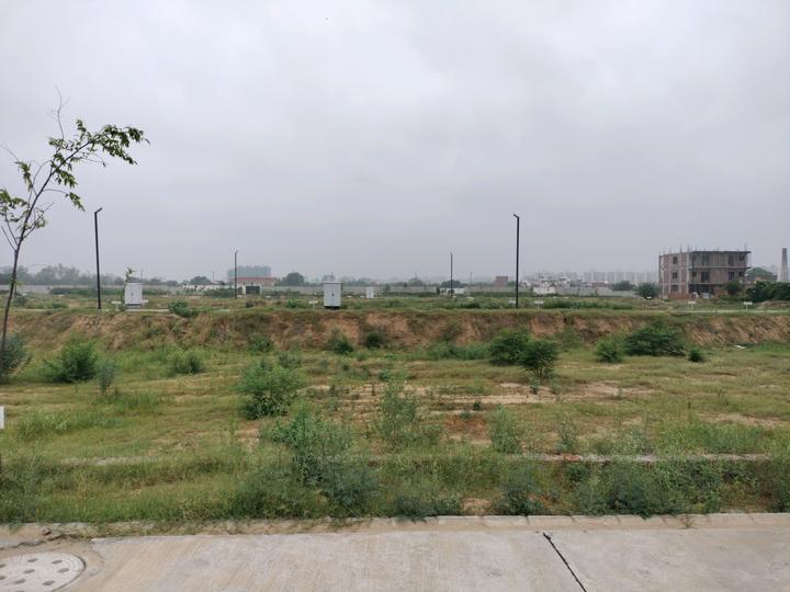 Amolik Aster Woods Main Image 1