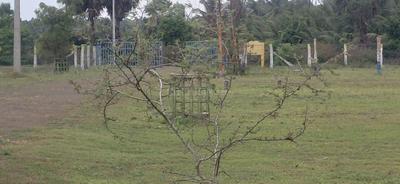 Image of 1364 Sq.ft Residential Plot / Land for sale in Othakalmandapam, Coimbatore for Rs. 1400000