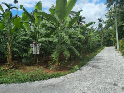 Nedumbassery Plot View 3