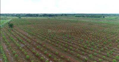 Image of 1308 Sq.ft Residential Plot / Land for sale in Paatha Kadapa, Kadapa for Rs. 750000