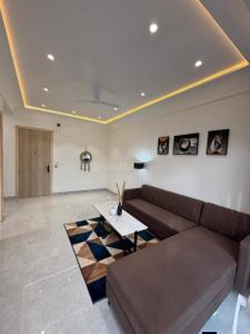 Hall Image of 750 Sq.ft 1 BHK Apartment / Flat for rent in Goyal Prime Plaza, Bodakdev Ahmedabad for Rs. 15000