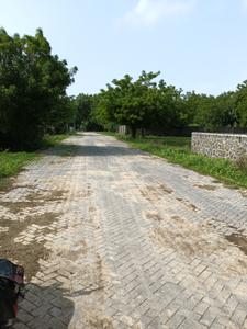 Shindhubhavn Plot View 2