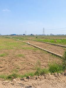 Image of 1200 Sq.ft Residential Plot / Land for sale in Bakhtiarpur, Patna for Rs. 1300000