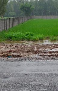 Image of 3245 Sq.ft Residential Plot / Land for sale in Bakrol Part, Anand for Rs. 10800000