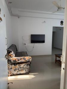 Hall Image of 825 Sq.ft 2 BHK Apartment / Flat for rent in MHADA Ajmera Colony, Pimpri Pune for Rs. 30000