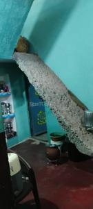 Kitchen Image of 733 Sq.ft 2 BHK Independent House for sale in Birla Nagar Gwalior for Rs. 2300000