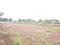 Perne Main Image 1