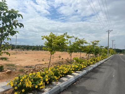 Image of 1620 Sq.ft Residential Plot / Land for sale in Vasavi Archana White Lotus, Shadnagar, Ranga Reddy for Rs. 3150000