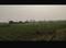 Lapkaman Plot View 2