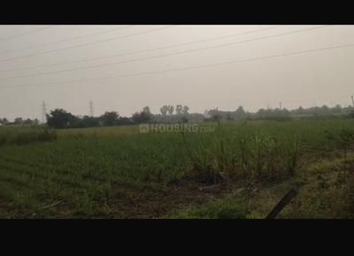 Lapkaman Plot View 2
