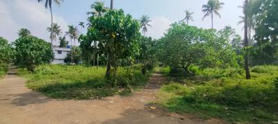 Image of 2178 Sq.ft Residential Plot / Land for sale in Kodaly, Thrissur for Rs. 1250000