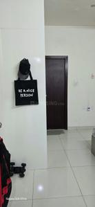 Hall Image of 1500 Sq.ft 3 BHK Apartment / Flat for rent in Puravankara Purva Silversands Phase 1 Building 4 To 9, Mundhwa Pune for Rs. 58000
