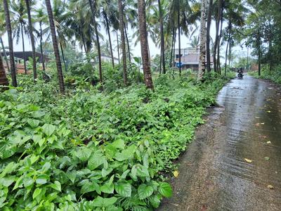 Image of 3000 Sq.ft Residential Plot / Land for sale in Mulki, Mangalore for Rs. 3200000