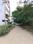 Central Park Mikasa Plots Internal Roads 2