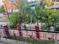Shyam Nagar Balcony 2