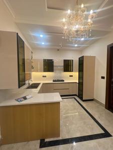 Kitchen Image of 1035 Sq.ft 2 BHK Apartment / Flat for sale in Kharar Mohali for Rs. 5790000