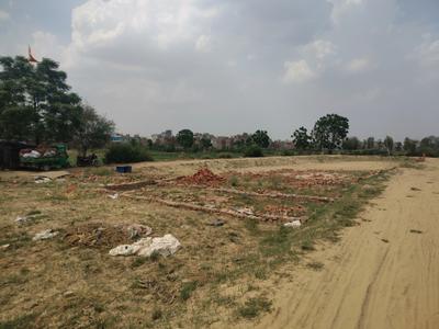 Block C Plot View 3