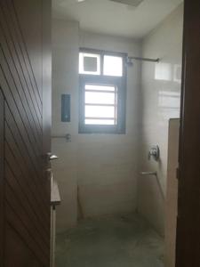Common Bathroom Image of 2495 Sq.ft 3 BHK Builder Floor for rent in Sector 49 Faridabad for Rs. 40000