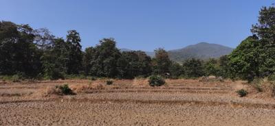 Image of 43560 Sq.ft Residential Plot / Land for sale in Kajubagh, Karwar for Rs. 3100000