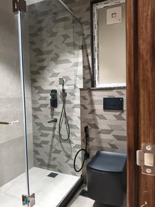 Common Bathroom Image of 2700 Sq.ft 4 BHK Builder Floor for sale in Ansal Esencia Sector 67, Sector 67 Gurgaon for Rs. 31900000