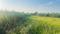 MEERUT EXPRESSWAY Plot View 2