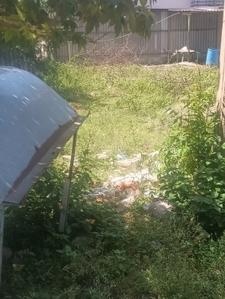 Image of 4243 Sq.ft Residential Plot / Land for sale in Suleeswaranpatti, Pollachi for Rs. 8766000