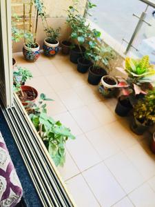 Balcony Image of 1750 Sq.ft 3 BHK Apartment / Flat for rent in Gahlot Majesty, Seawoods Navi Mumbai for Rs. 68000