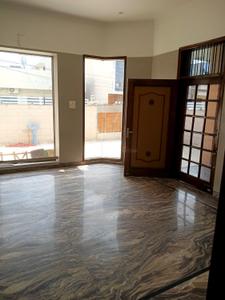 Hall Image of 4500 Sq.ft 5 BHK Independent House for rent in Rajpura Patiala for Rs. 43000
