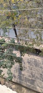 Balcony Image of Sachin's PG in Gomti Nagar, Lucknow