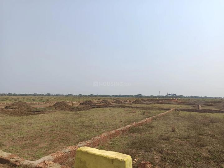 Fortune Garden Main Image 1