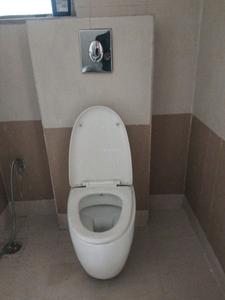 Common Bathroom Image of 1050 Sq.ft 2 BHK Apartment / Flat for rent in Ambika Heritage, Kharghar Navi Mumbai for Rs. 46000