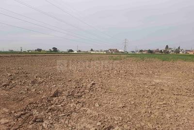 Image of 1602 Sq.ft Residential Plot / Land for sale in ASM Shree Jaswant Garden, Sector 14, Panchkula for Rs. 12823100