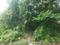 Independent land 21 Plot View 2